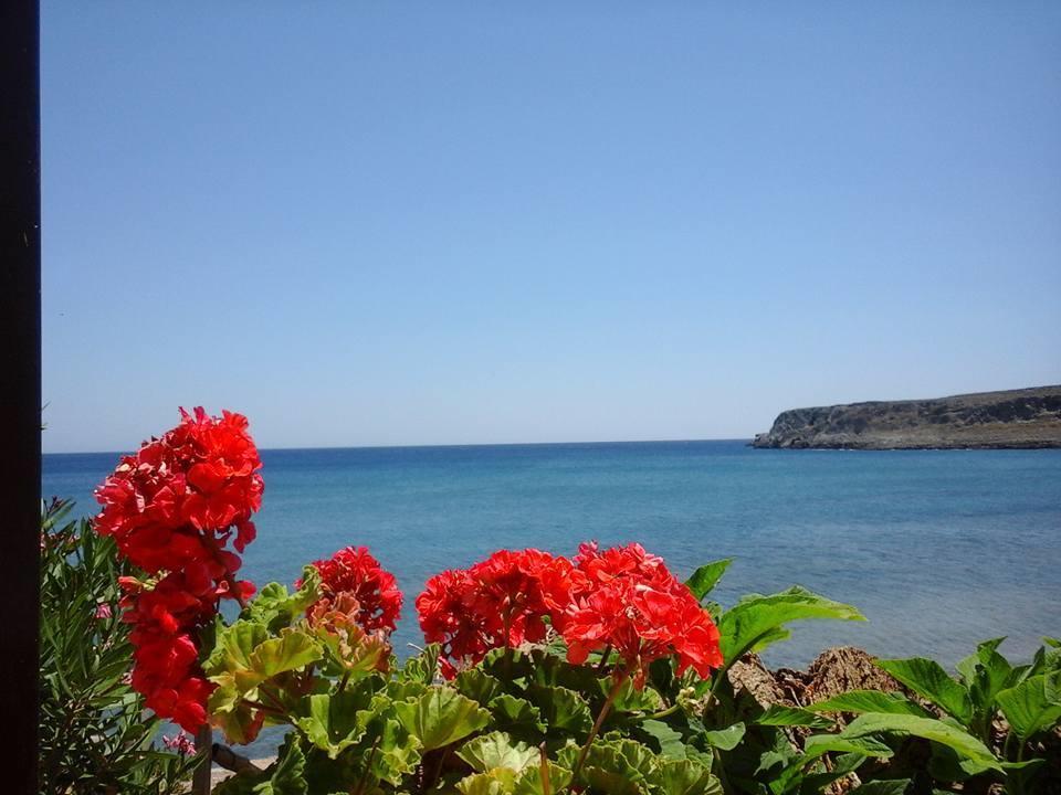 Dimitra Apartments Zakros City Buitenkant foto