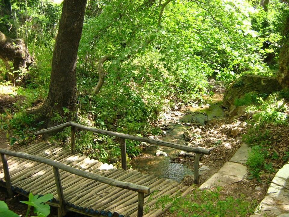 Dimitra Apartments Zakros City Buitenkant foto